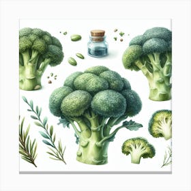 Broccoli 2 Canvas Print