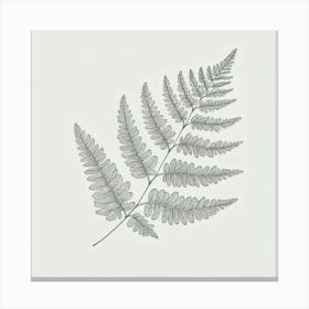 Line Art fern leaves Canvas Print