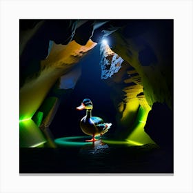 Shining light with duck in the bat cave  Canvas Print