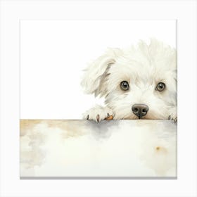 White Dog With A Sign Canvas Print