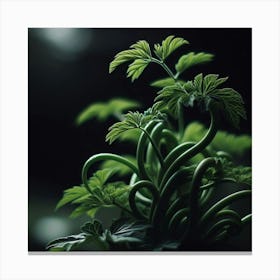 Green Plant 1 Canvas Print