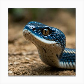 Blue Snake Canvas Print