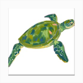 Green Sea Turtle 06 Canvas Print