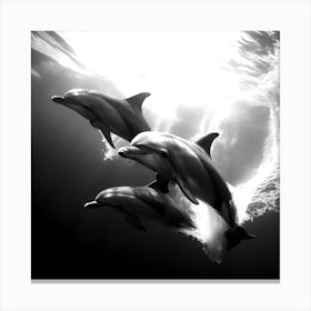 Dolphins In The Water Canvas Print