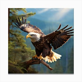 Bald Eagle Canvas Print