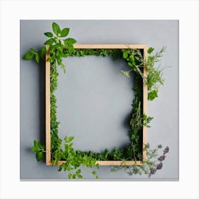 Frame With Herbs 5 Canvas Print