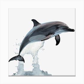 Dolphin Jumping Out Of Water Canvas Print