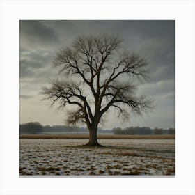 Bare Tree Canvas Print