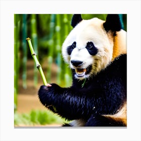 Panda Bear 6 Canvas Print