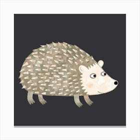 Hedgehog at Night Canvas Print