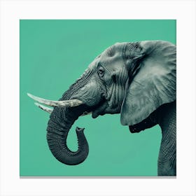 Animal Elephant In The Green Room Canvas Print