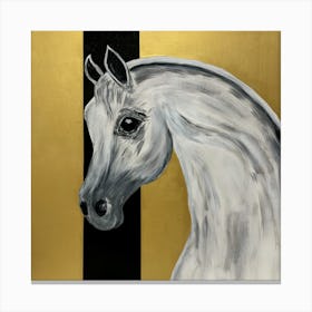 Arabian Horse 1 Canvas Print