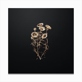 Gold Botanical Hoary Diplopappus Flower on Wrought Iron Black n.3428 Canvas Print