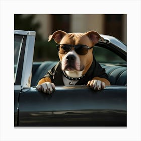 A Pitbull Driving Sports Car Canvas Print