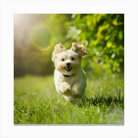 Dog Running In The Grass Canvas Print