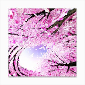 Sakura Blossom Tree Canvas Print