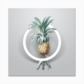 Vintage Pineapple Minimalist Floral Geometric Circle on Soft Gray n.0019 Canvas Print