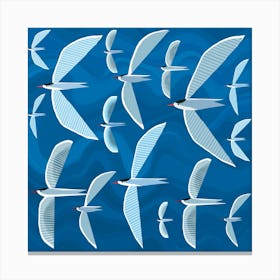 Flock of Seagulls 1 Canvas Print