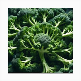Close Up Of Broccoli 2 Canvas Print