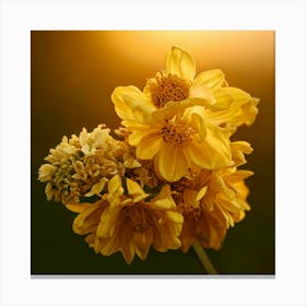 Firefly Honey Bloom Warm And Inviting, With A Golden Yellow Tint And A Soft, Romantic Glow 2 Toile