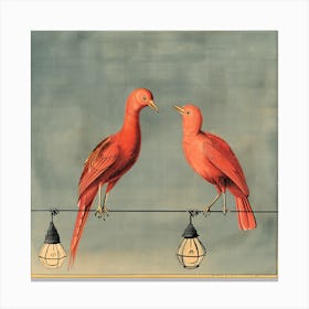 Avian Lives (II) Canvas Print