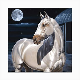 Pearl Horse At Night Canvas Print