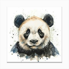 Panda Bear Canvas Print