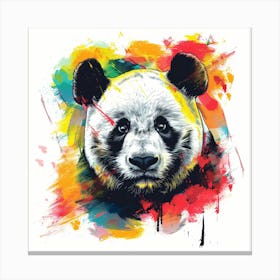 Panda Bear 19 Canvas Print