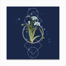 Vintage Iris Fimbriata Botanical with Geometric Line Motif and Dot Pattern n.0367 Canvas Print