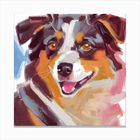 Australian Shepherd 02 Canvas Print