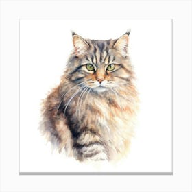 Pallass Cat Portrait 1 Canvas Print