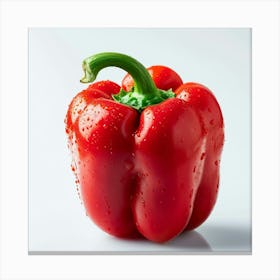 Red Pepper Isolated On White Background Canvas Print