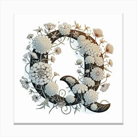 Letter Q Canvas Print