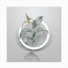 Vintage Lady's Slipper Orchid Minimalist Flower Geometric Circle on Soft Gray n.0017 Canvas Print