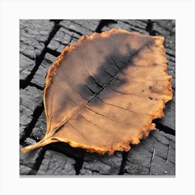 Burnt Leaf Canvas Print