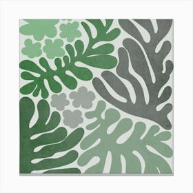 Ferns Canvas Print