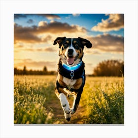 A Photo Of A Dog Wearing A Halo Collar 1 Canvas Print