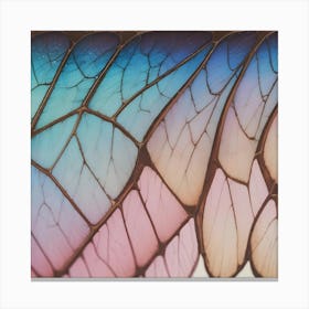 Butterfly Wings Canvas Print