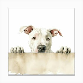 Dog Peeking Over A Wall 3 Canvas Print