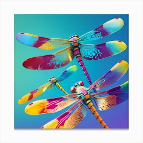 Dragonflies 19 Canvas Print