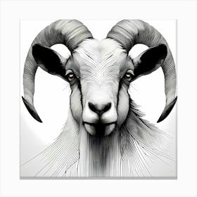 Goat Head - Abstract Line Art Illustration 205 Canvas Print