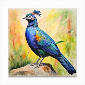 HIMALAYAN MONAL BIRD Canvas Print