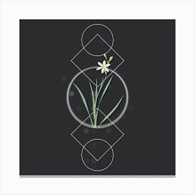 Vintage Ixia Anemonae Flora Botanical with Geometric Line Motif and Dot Pattern n.0259 Canvas Print