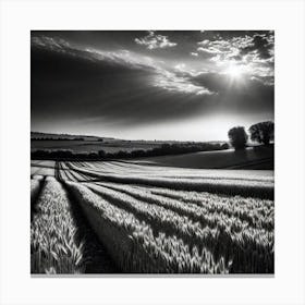 Black And White Wheat Field Canvas Print