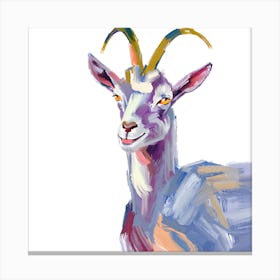 Goat 05 Canvas Print