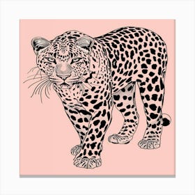 Leopard 7 Canvas Print