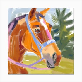 Thoroughbred Horse 04 1 Canvas Print