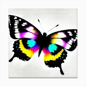 Butterfly Stock Videos & Royalty-Free Footage 1 Canvas Print