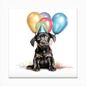 Birthday Dog 4 Canvas Print