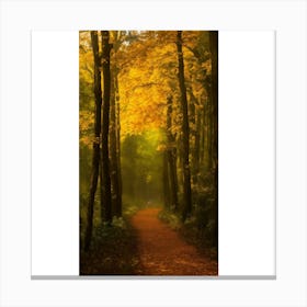 Path In The Woods 2 Canvas Print